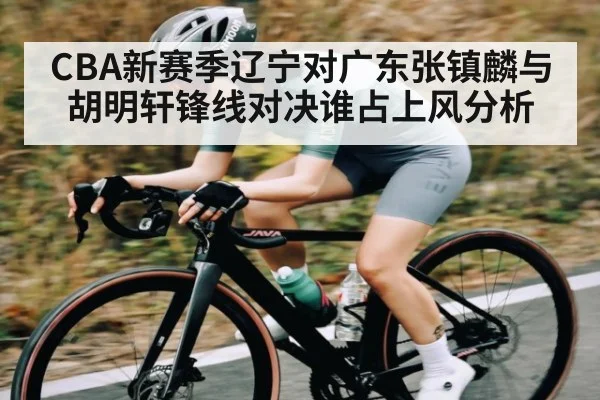 CBA新赛季辽宁对广东张镇麟与胡明轩锋线对决谁占上风分析